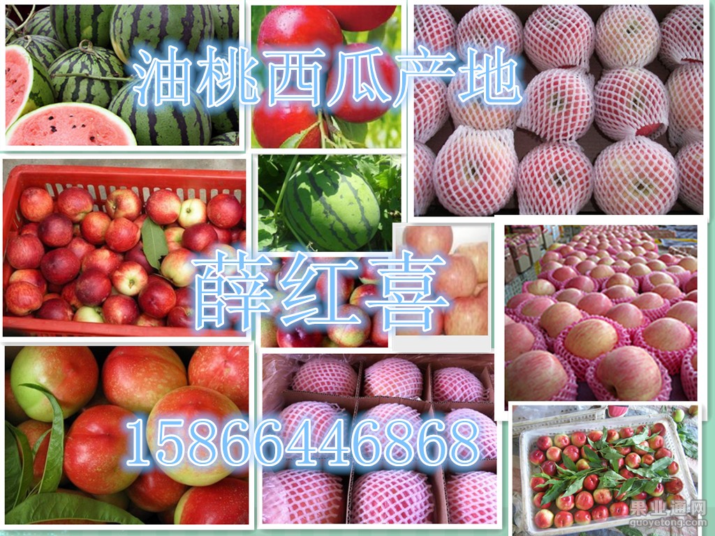 2014042100164267[1]_副本_副本_副本_副本.jpg