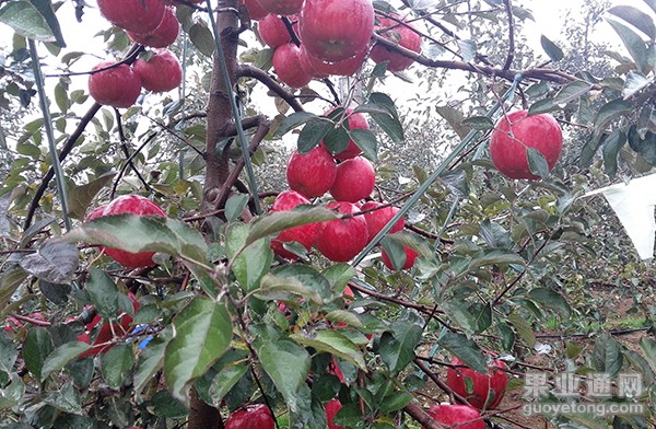 IMG20151113094208.jpg