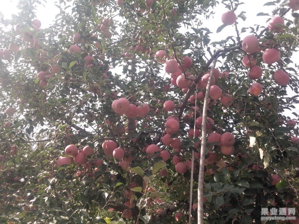 QQ图片20151116140946.jpg
