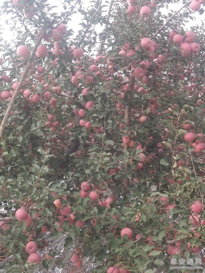 QQ图片20151116141006.jpg
