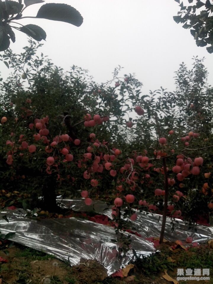 QQ图片20151116140954.jpg