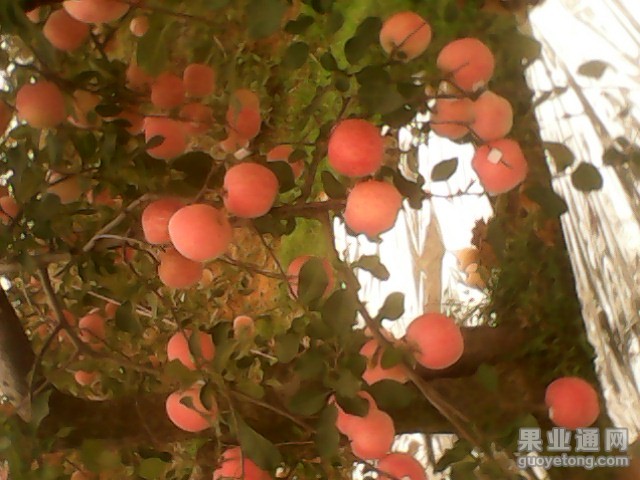 IMG10016.jpg