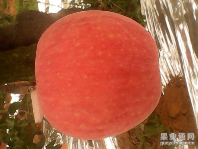 IMG10015.jpg