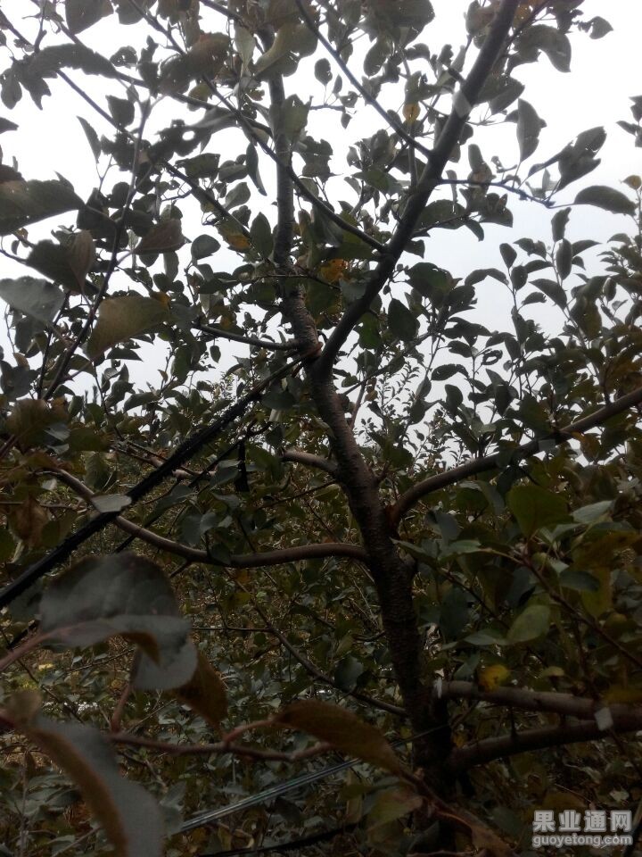 Cache_-12194773d553096d..jpg
