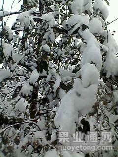 IMG0042B.jpg
