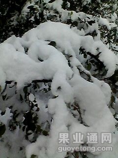 IMG0043B.jpg