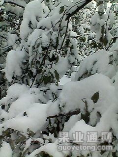 IMG0044A.jpg