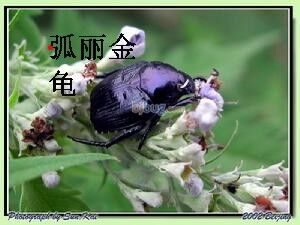 QQ图片20151203130142.jpg