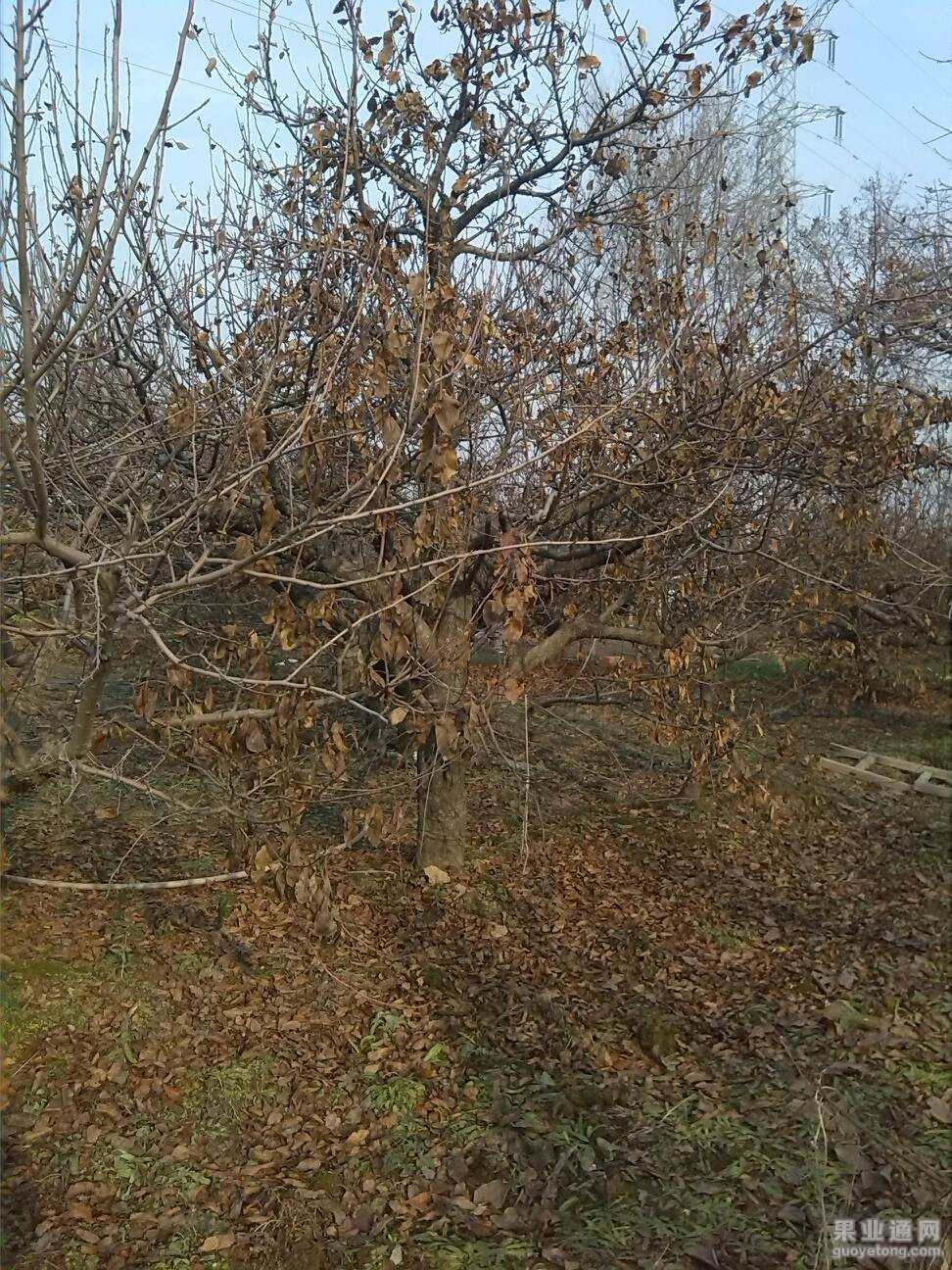 162219d0qmx0dd0vosxv64.jpg