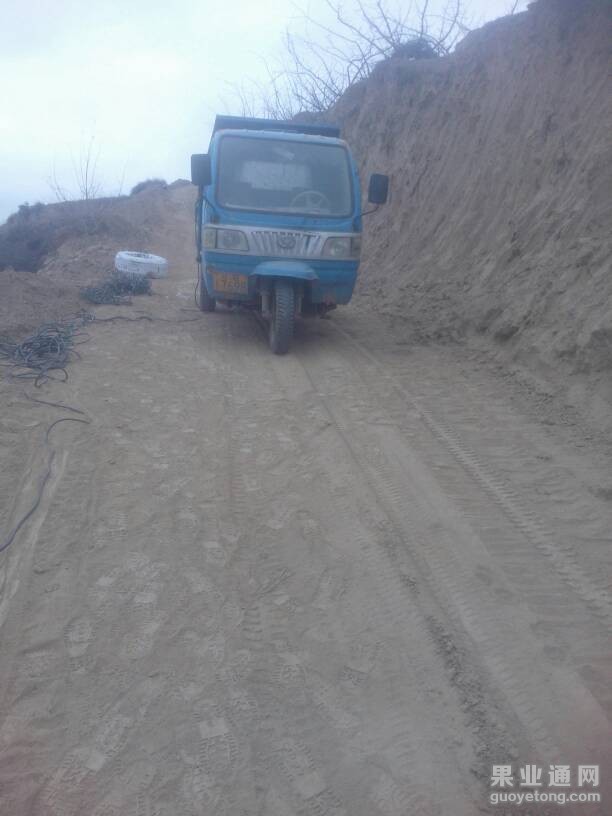 180153kw92vihcidbbcdwz.jpg