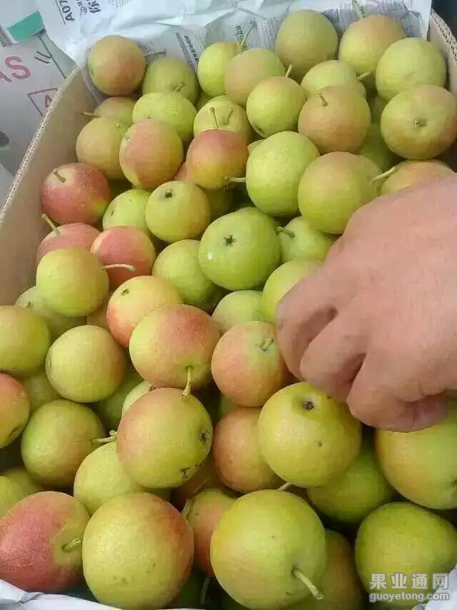 093302e4d7u4c4ik76kje5.jpg