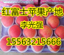 红富士.jpg