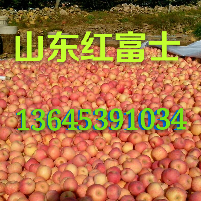 mmexport1444657506875_mh1449711050373.jpg