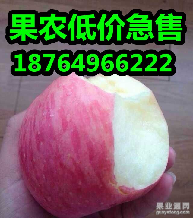 QQ图片20151106103436_副本.jpg