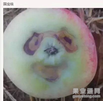 QQ图片20151216124440.jpg