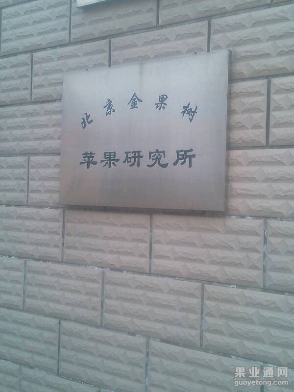 181858wy335zsx3ydyeo4h.jpg