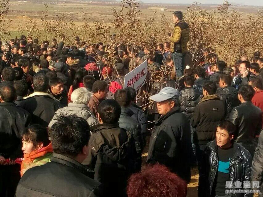 QQ图片20151219181157.jpg