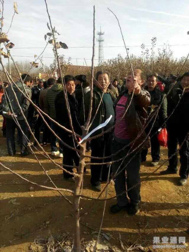 QQ图片20151219181222.jpg