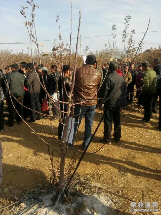 QQ图片20151219181228.jpg