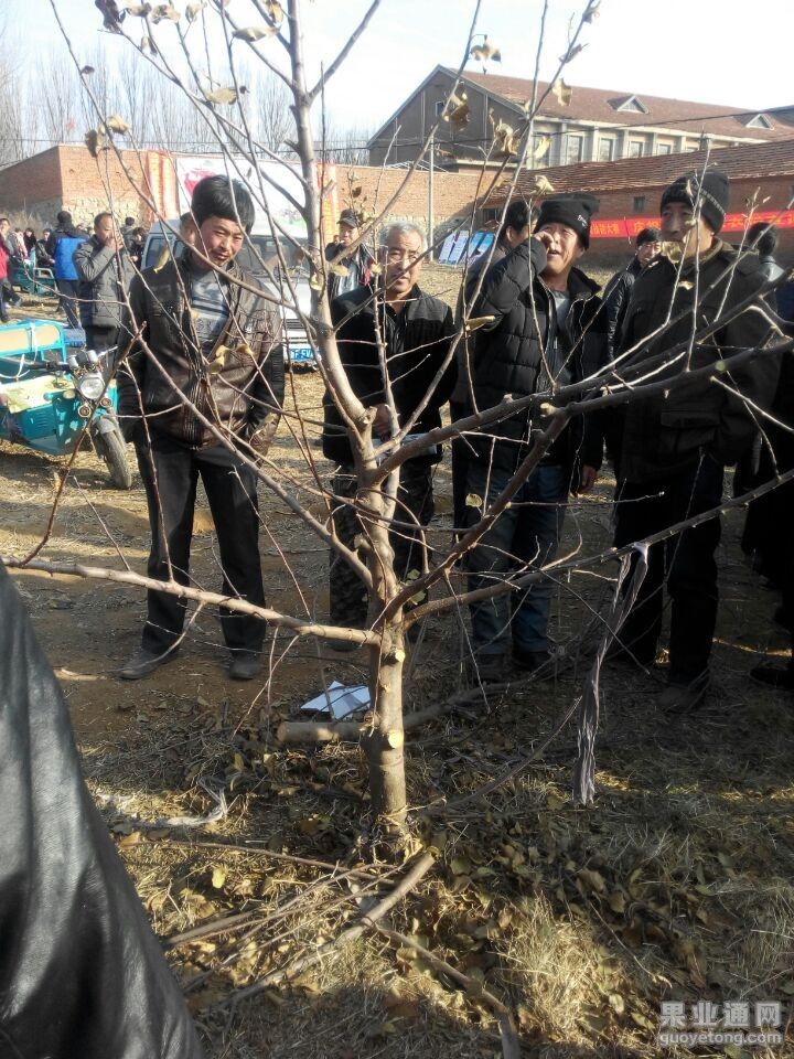 QQ图片20151219181705.jpg