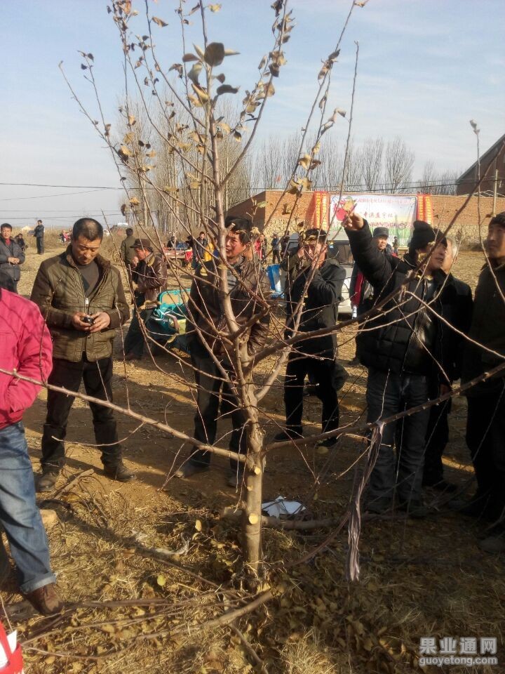 QQ图片20151219181712.jpg