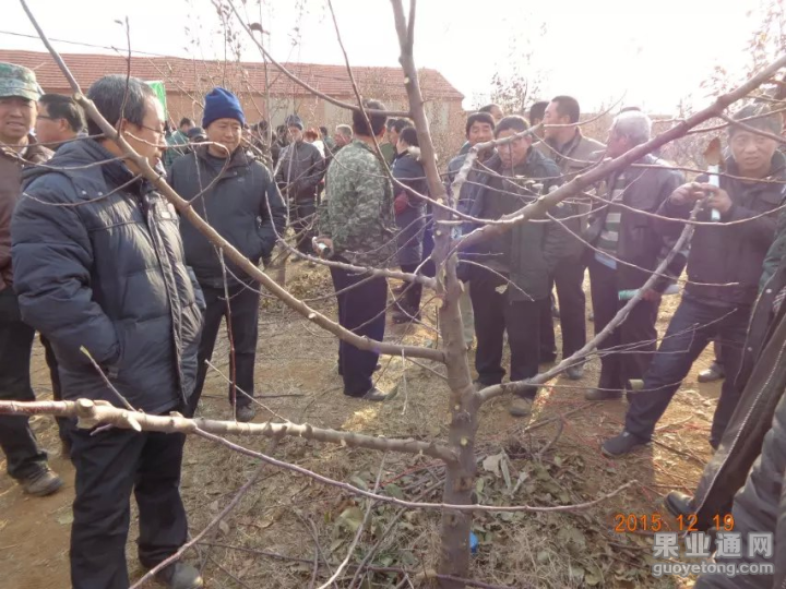 QQ图片20151219183754.png