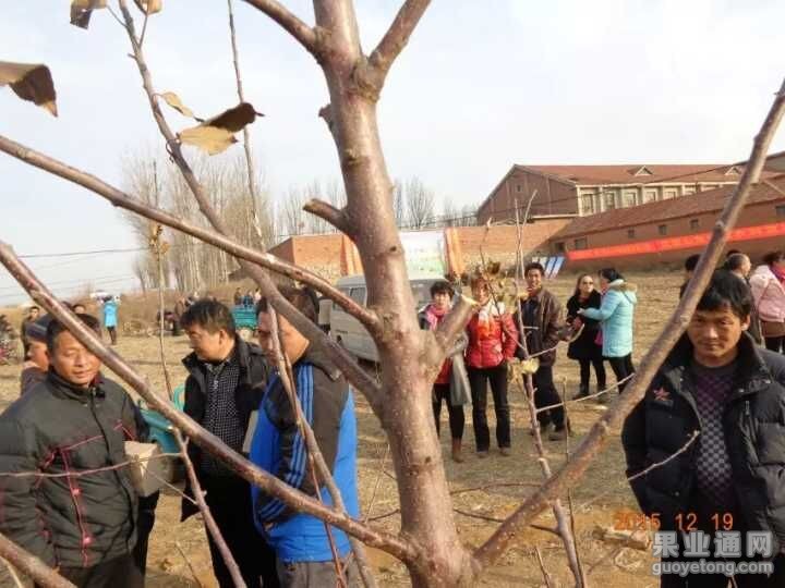 QQ图片20151219183731.jpg