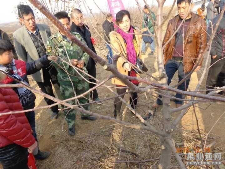QQ图片20151219183712.jpg