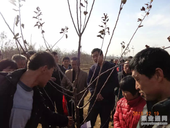 QQ图片20151219183743.png