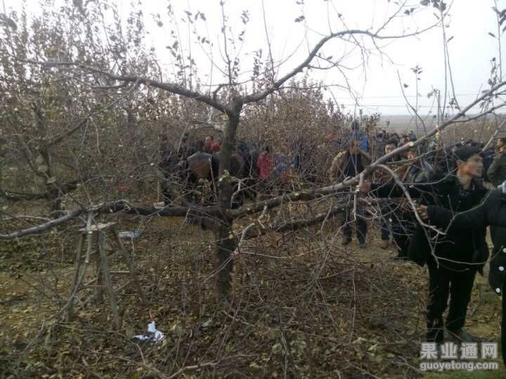 QQ图片20151219192032.jpg