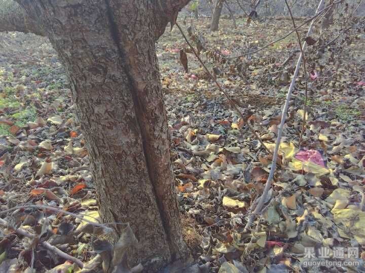QQ图片20151222101812.jpg