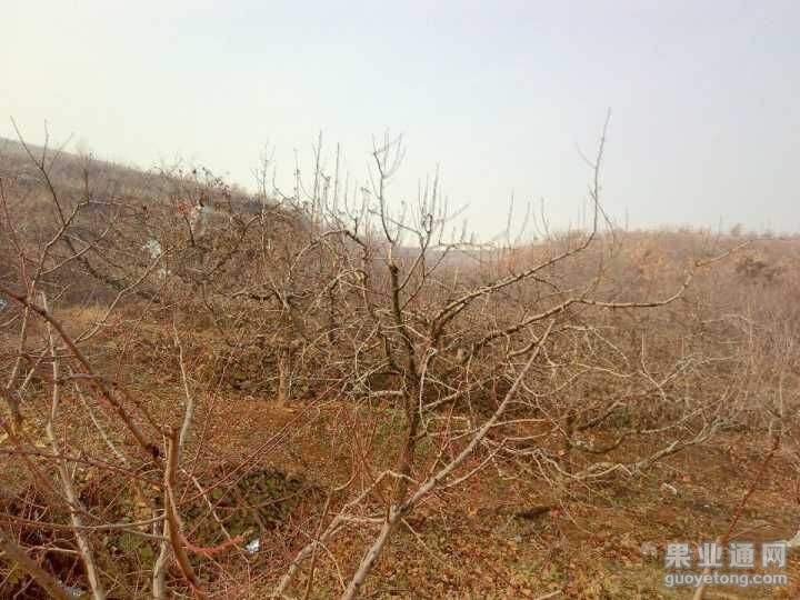 QQ图片20151222180526.jpg
