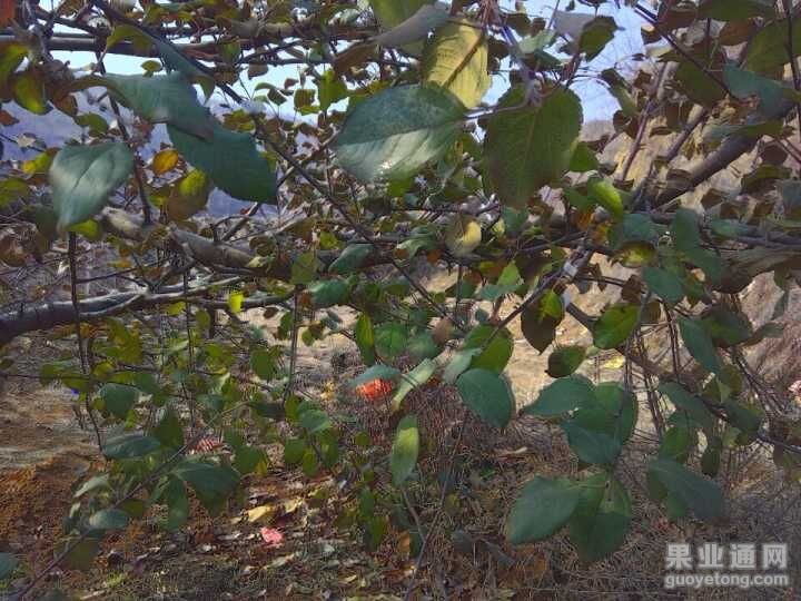 QQ图片20151222180646.jpg