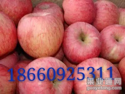 QQ图片20151108204843.jpg
