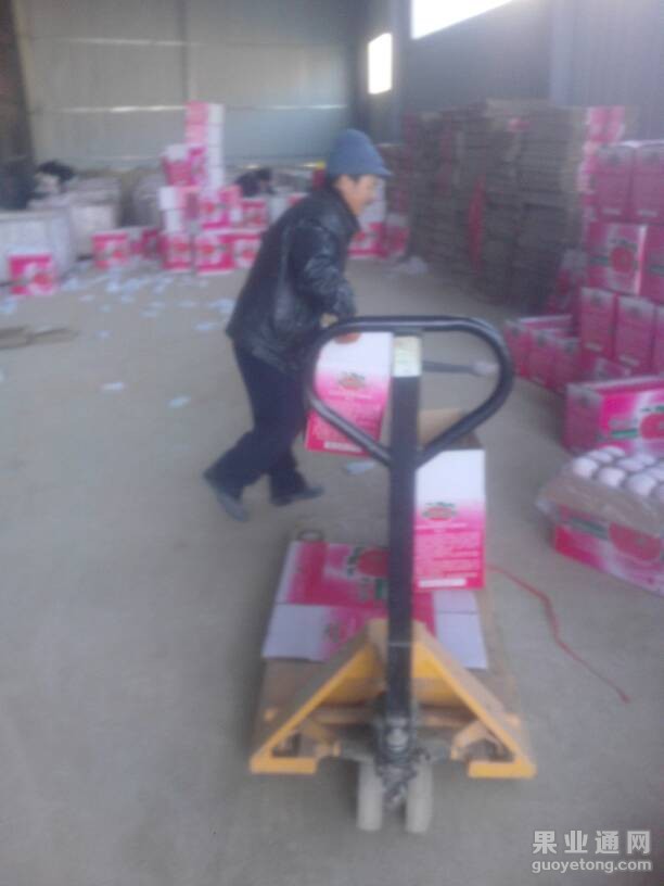 183755qmfa3kg68323p728.jpg