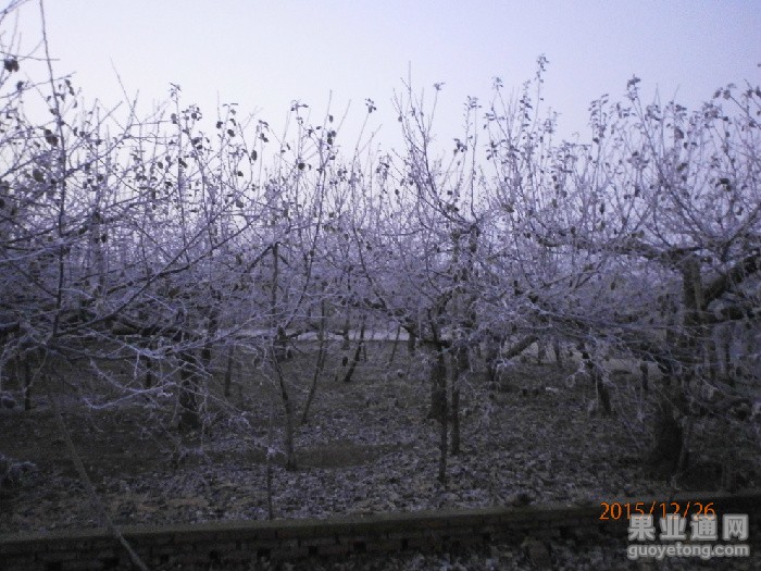 PC260034.JPG