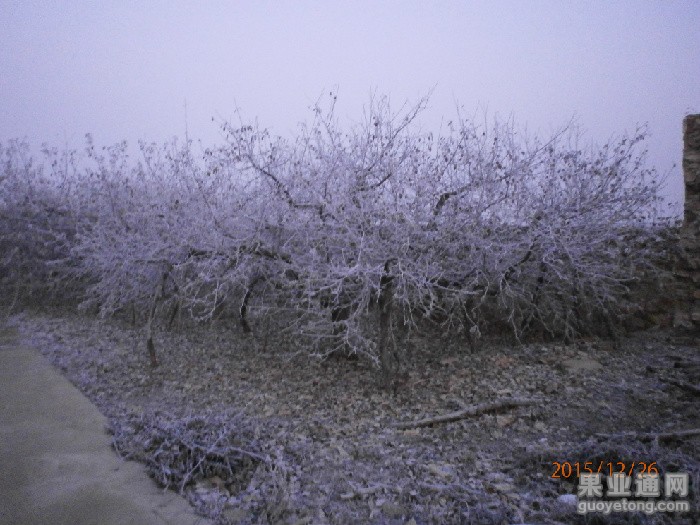PC260033.JPG
