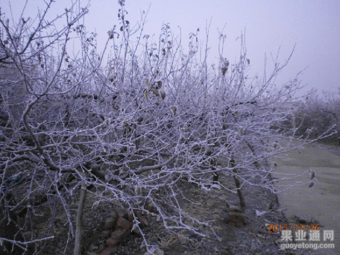 PC260032.JPG