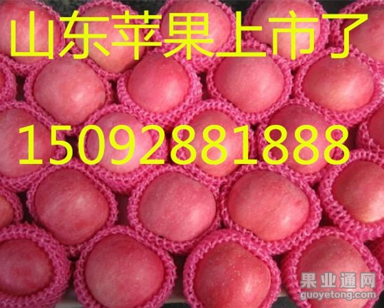 635620_副本_副本.jpg