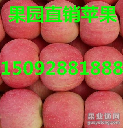 1899652_副本.jpg