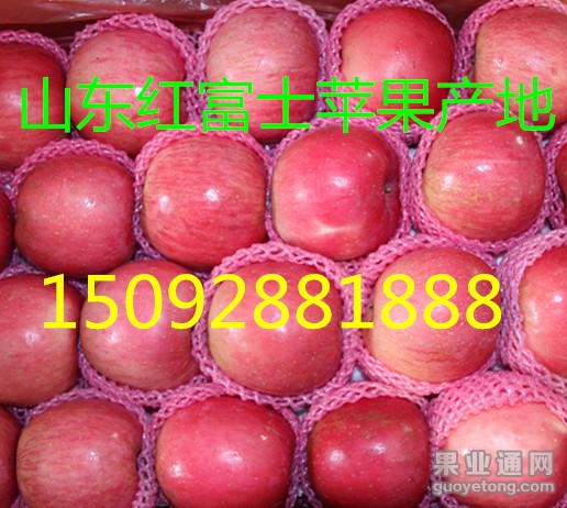 3_75_6a44a78e6c8afb2_副本.jpg