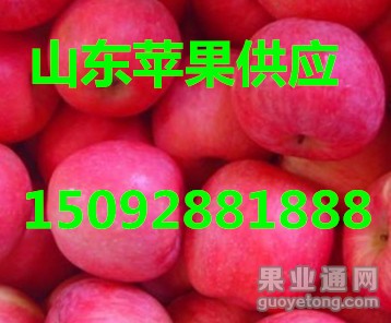 21489489_1_副本.jpg
