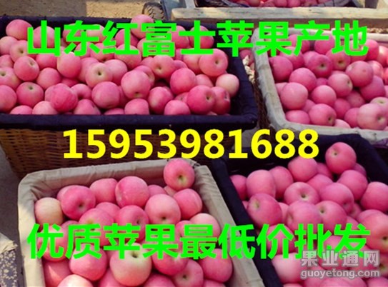 172954611_副本_副本.jpg