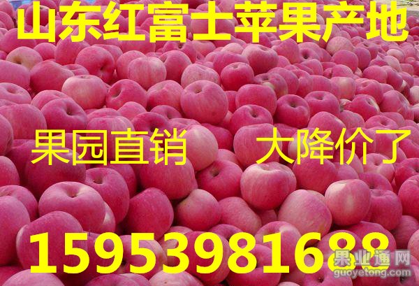 132405302421010-215439_副本.jpg