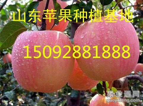 4b83987f6016b45b54ec91626d5bcad3_副本.jpg