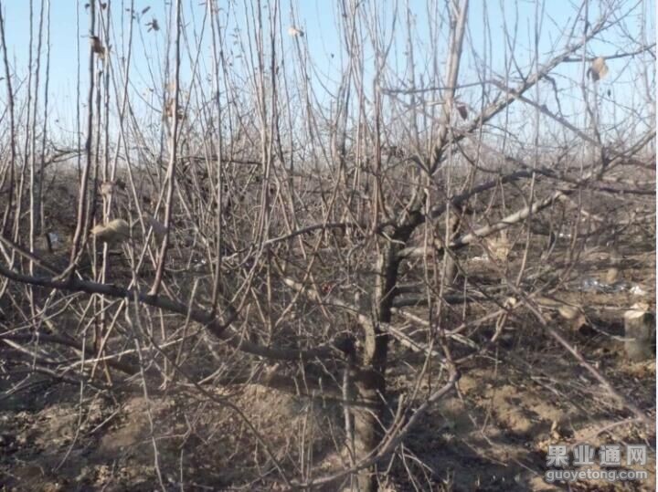 QQ图片20160101234126.jpg