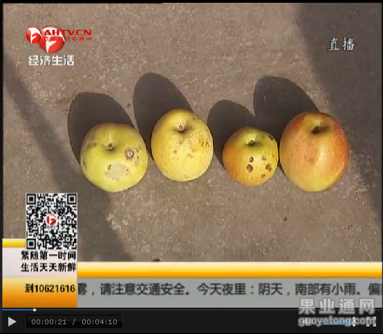 QQ图片20160103002712.png