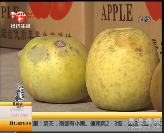 QQ图片20160103002809.png
