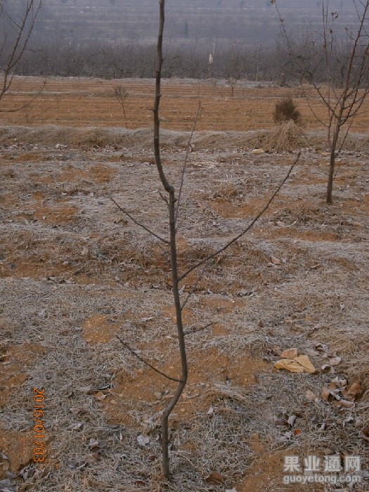 P1030064_旋转.JPG