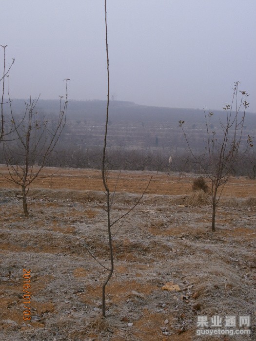 P1030066_旋转.JPG